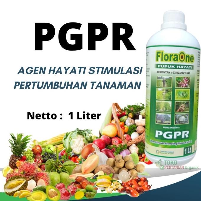 Jual Pgpr Tanaman Pupuk Cair Trichoderma Fungisida Hayati Dekomposer