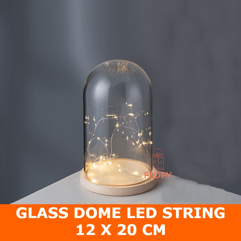 Jual FLOPY [Termasuk Lampu] Glass Dome Led String / Flower Dome Light ...