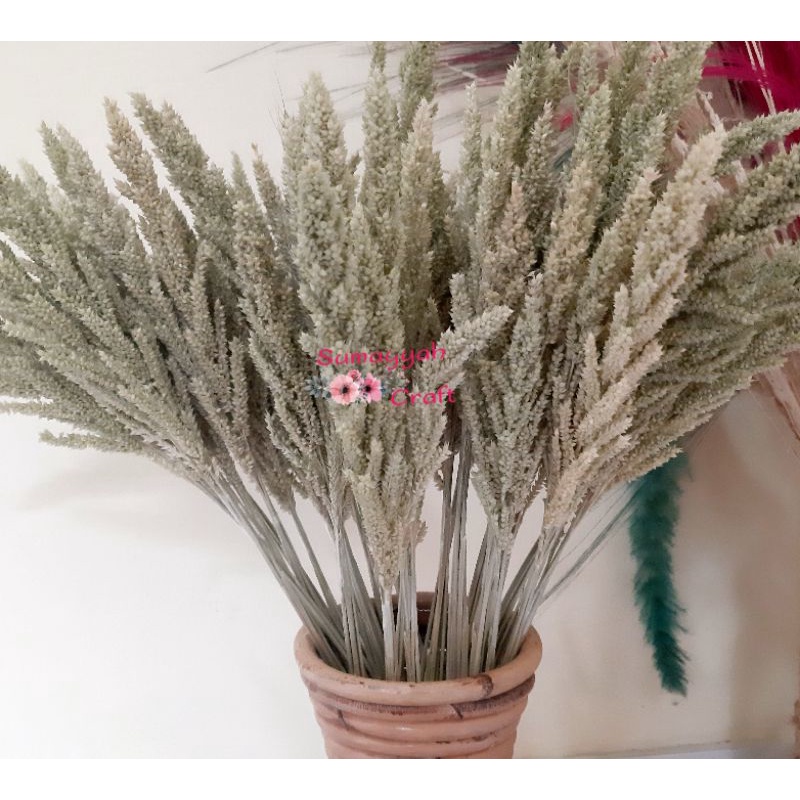 Jual Rumput jawan Natural/bunga kering/gandum lokal | Shopee Indonesia