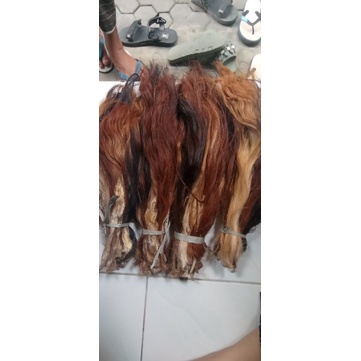 Jual BACA DESKRIPSI Rambut Ekor/Gubat/Buntut Sapi Kering Standart ...