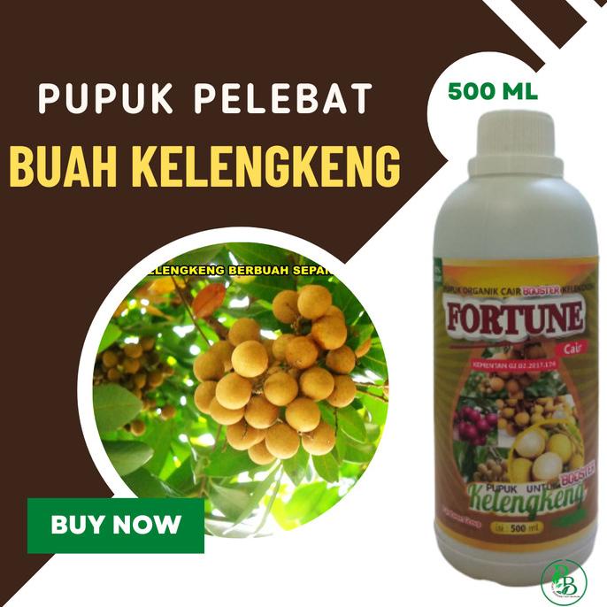 Jual Booster Kelengkeng Fortune Terbaik Pupuk Cair Buah Kelengkeng Matalada Spesialis Boster