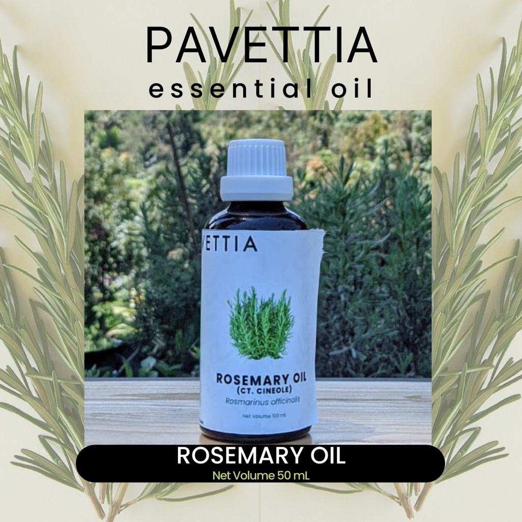 Jual 50 Ml - Rosemary (ct Cineole) Essential Oil / Minyak Atsiri ...