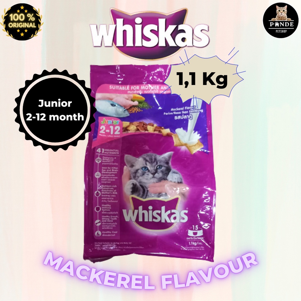 Jual Whiskas Junior 2 12 Bulan 1,1 Kg Freshpack Makanan Kucing Kering