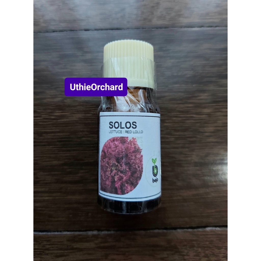 Jual Benih Bejo Seed - Selada Lollo Rossa Solos Repack 100 pills ...