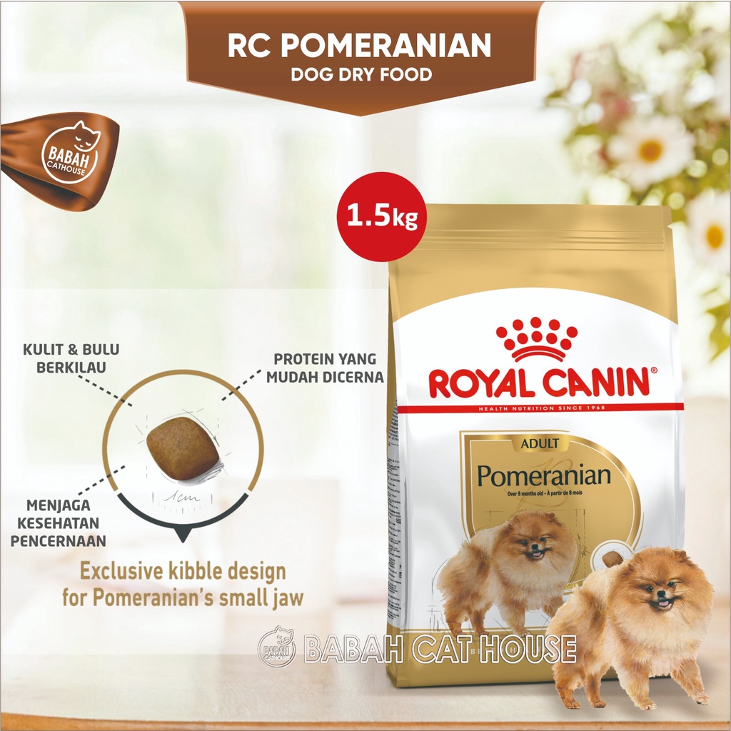 Dog food untuk clearance pomeranian