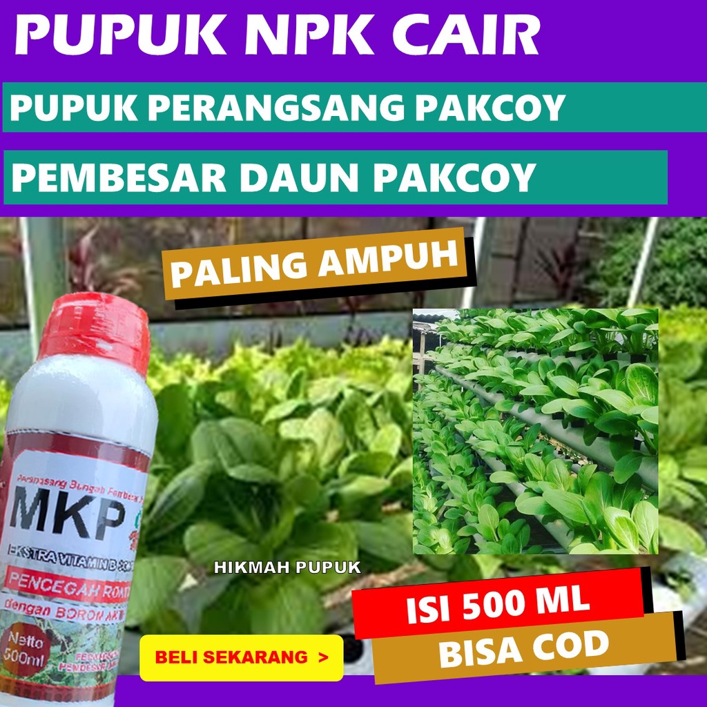 Jual Obat Tanaman Daun Pakcoy Paling Bagus Mkp Cair New Pupuk Sayur