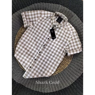 Jual gucci shirt Harga Terbaik & Termurah April 2025 Jual gucci shirt Harga Terbaik & Termurah April 2025