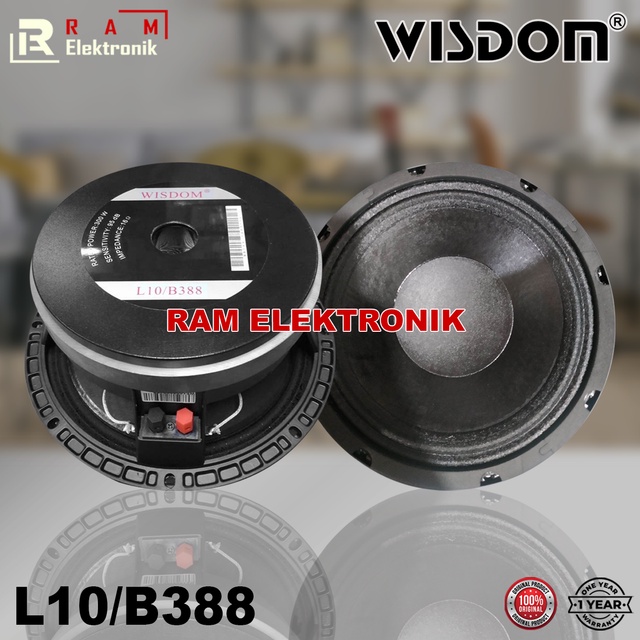 Speaker wisdom hot sale 10 inch