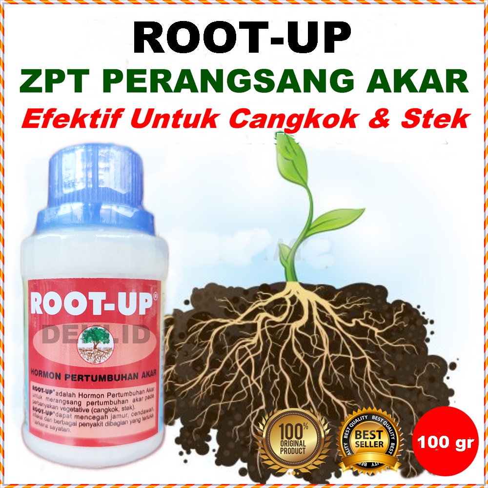 Jual Root Up 100 Gram Hormon Perangsang Pertumbuhan Akar Tanaman Stek