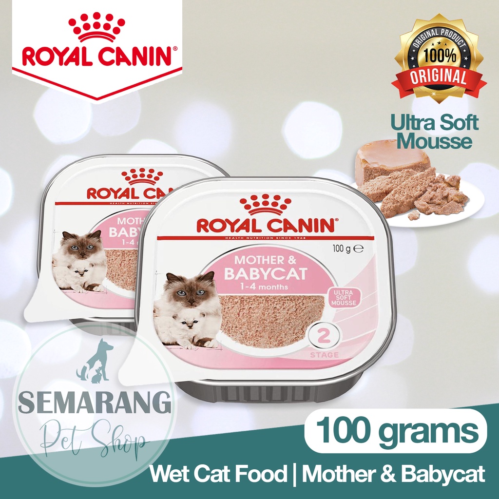 Jual Wet Cat Food ROYAL CANIN Mother & Babycat 100gr PROMO BBD 23/09