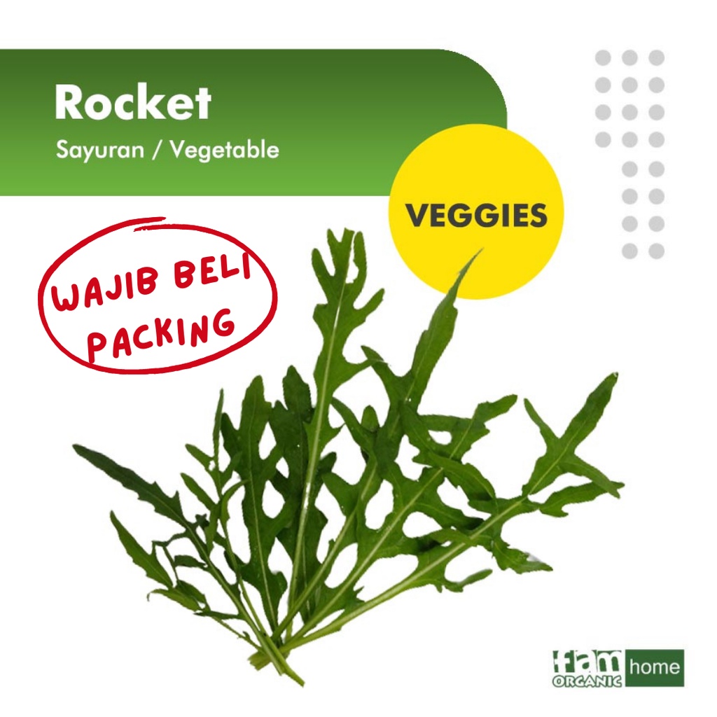 Jual Arugula Terlengkap & Harga Terbaru Juli 2026 | Shopee Indonesia