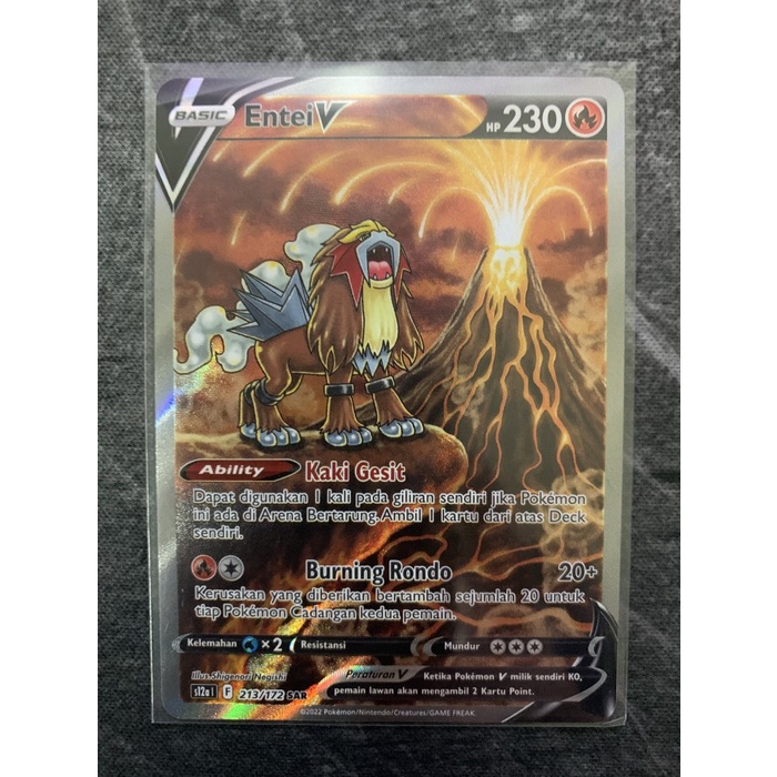 Pokémon Cards PSA 10 Entei V SAR | 213/172 S12a | VSTAR Universe