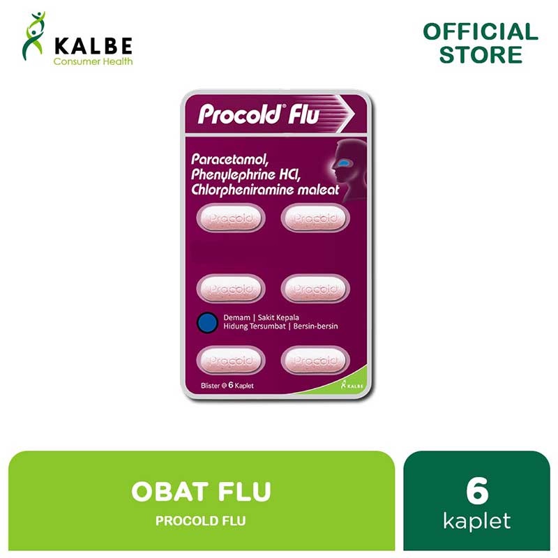 Jual PROCOLD Flu New Kapsul 6s (DB) | Shopee Indonesia