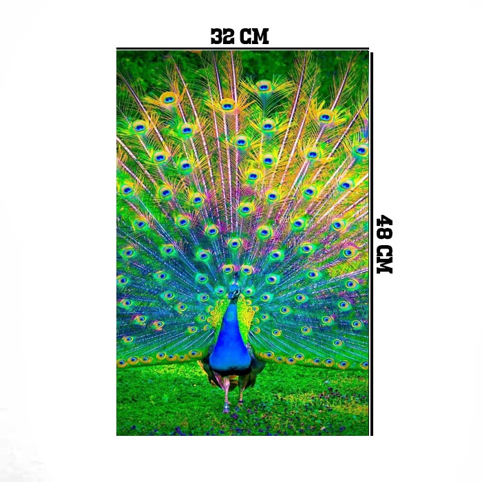 Jual Hiasan dinding poster dan frame uk 32 x 48 cm motiv burung Merak ...