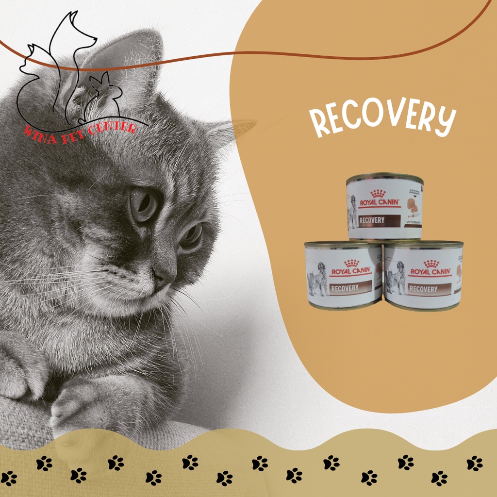 Royal canin recovery rs cat clearance food