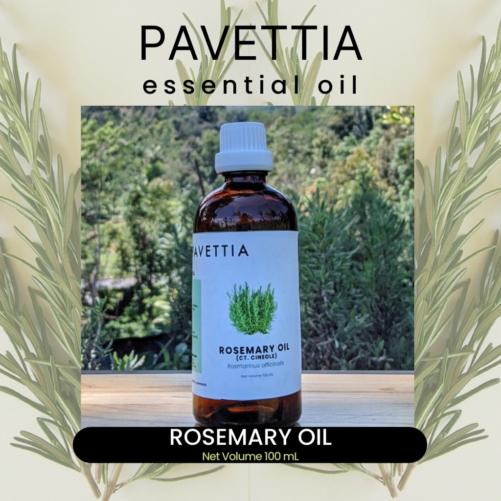 Jual 100 Ml - Rosemary (ct Cineole) Essential Oil / Minyak Atsiri ...