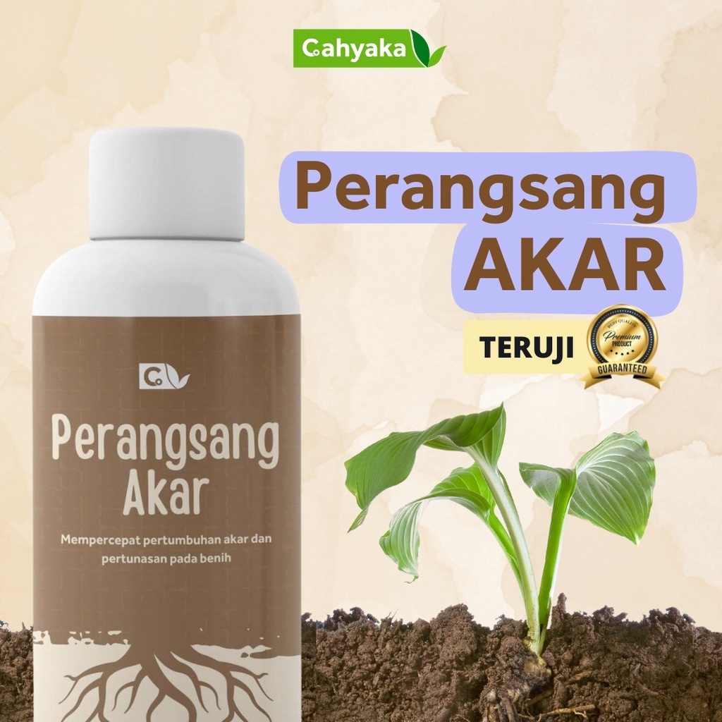 Mempercepat Pertumbuhan Akar Tanaman: Panduan Lengkap untuk Akar yang Kuat dan Sehat