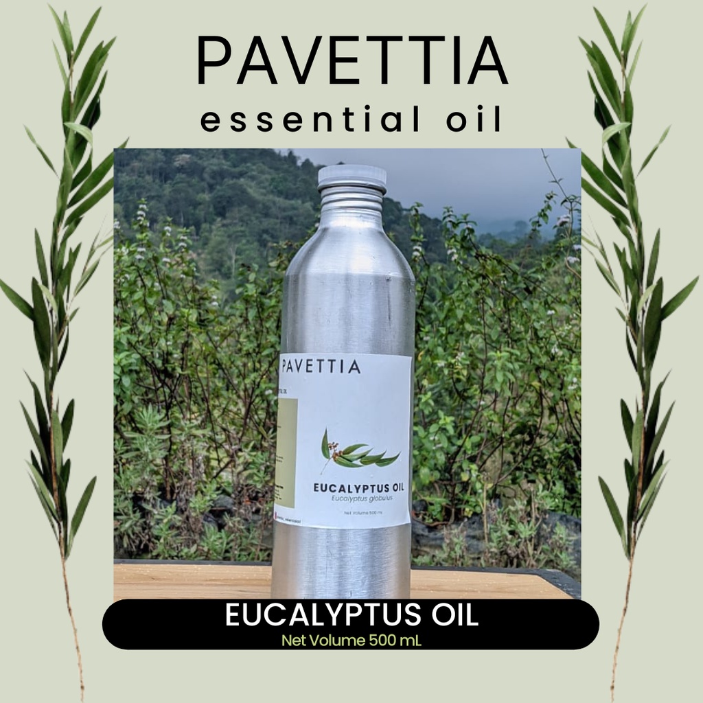 Jual 1000 Ml - Minyak Atsiri Ekaliptus / Eucalyptus Essential Oil ...