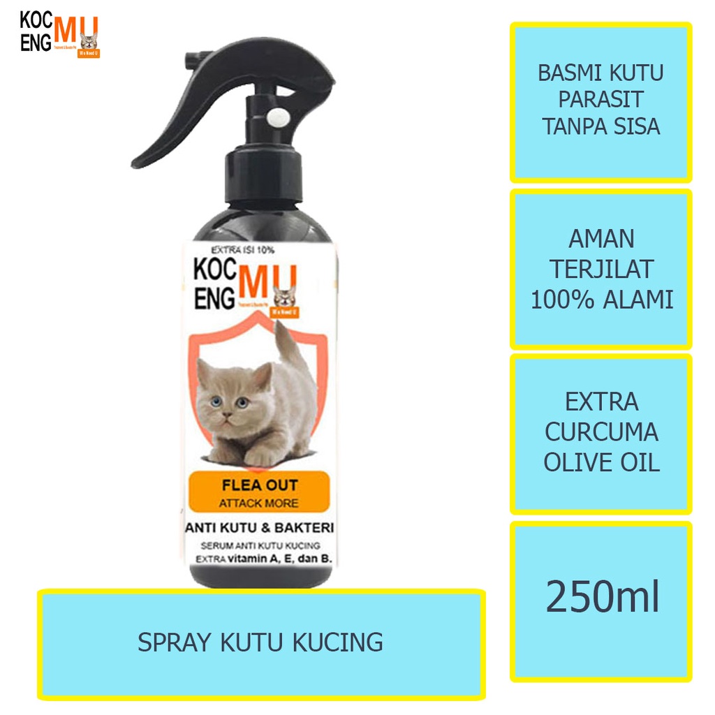 Jual Obat Kutu Kucing Semprot Pembasmi Kutu Kucing Telur Jamur Kucing
