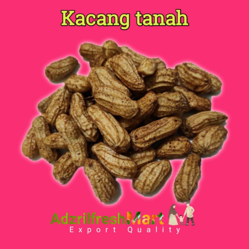 Jual Kacang Tanah Kulit Mentah 1kg Shopee Indonesia