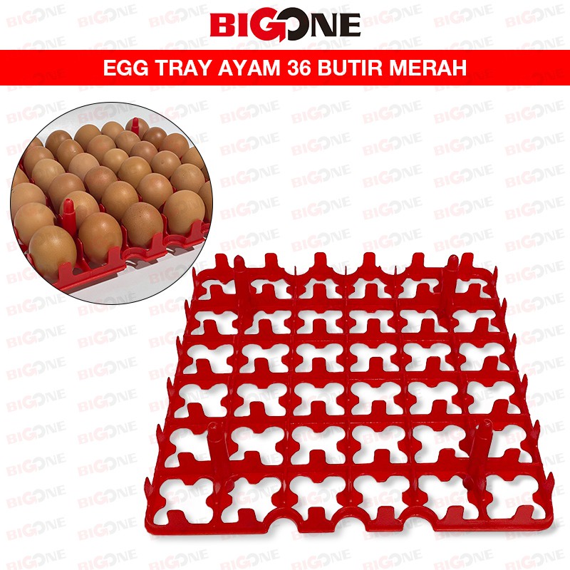 Jual Egg Tray 36 Butir Rak Tempat Telur Telor Order 5 Pcs Paling Sedikit Shopee Indonesia 7765