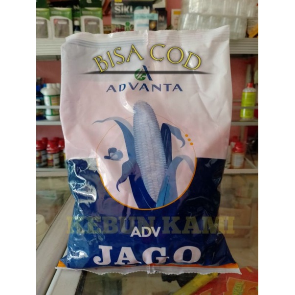 Jual Benih Jagung Adv Jago Kemasan 1 Kg Shopee Indonesia 4498