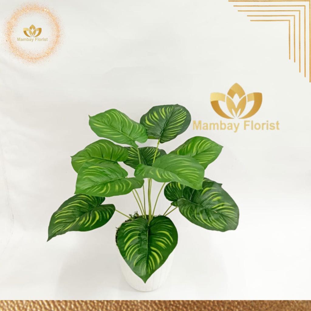 Inspirasi dekorasi viral dari daun dan buah rambutan