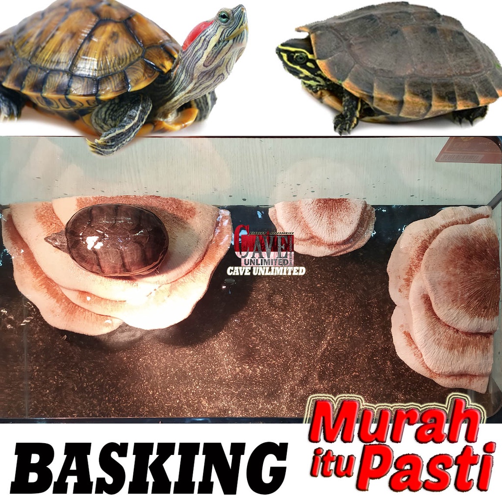 Jual TR001C TANGKRINGAN REPTILE TURTLE BANK TEMPAT JEMUR BASKING ISLAND ...