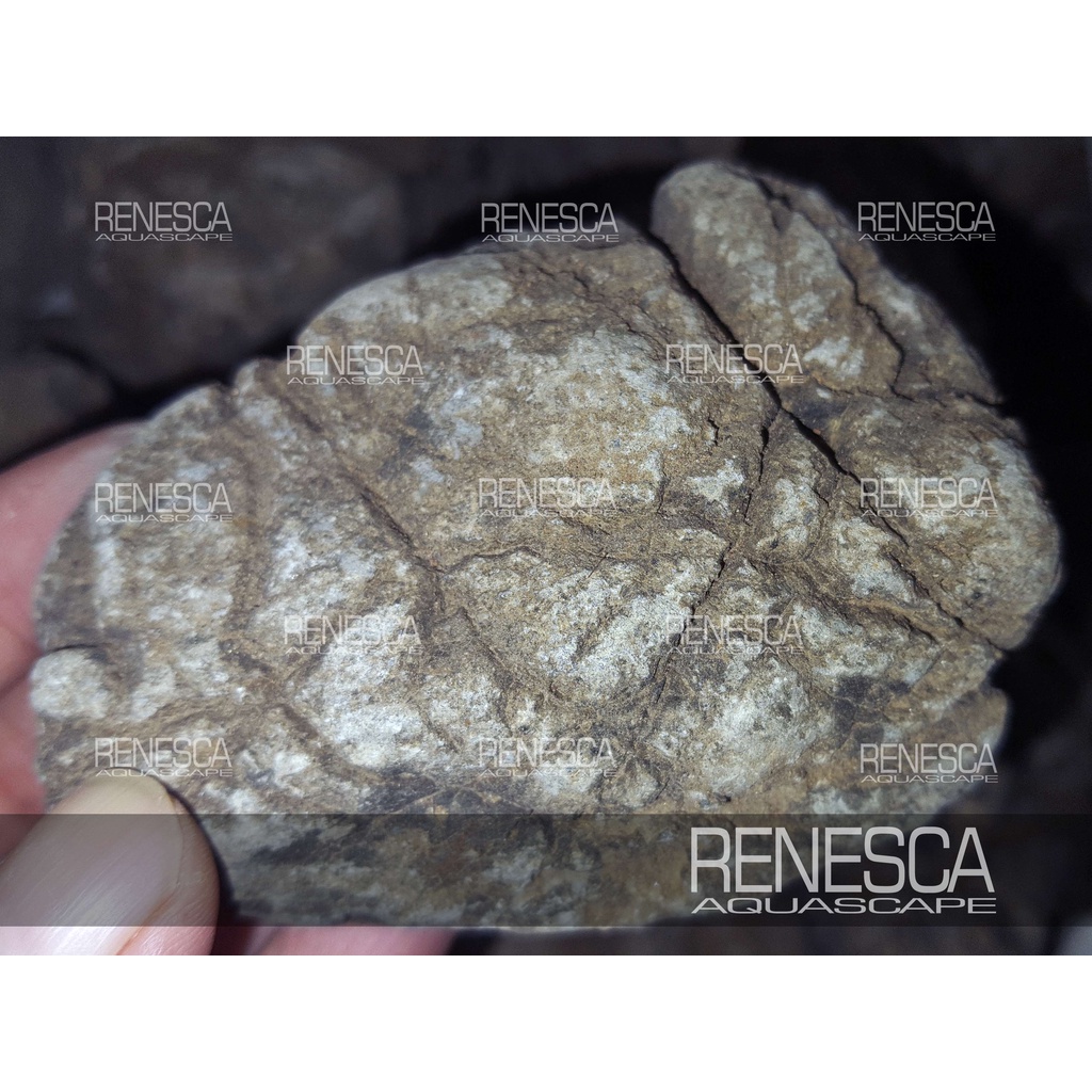 Jual Batu Turly Turli Stone 1 Kg - Batu Hias Hiasan Aquascape Aquarium ...