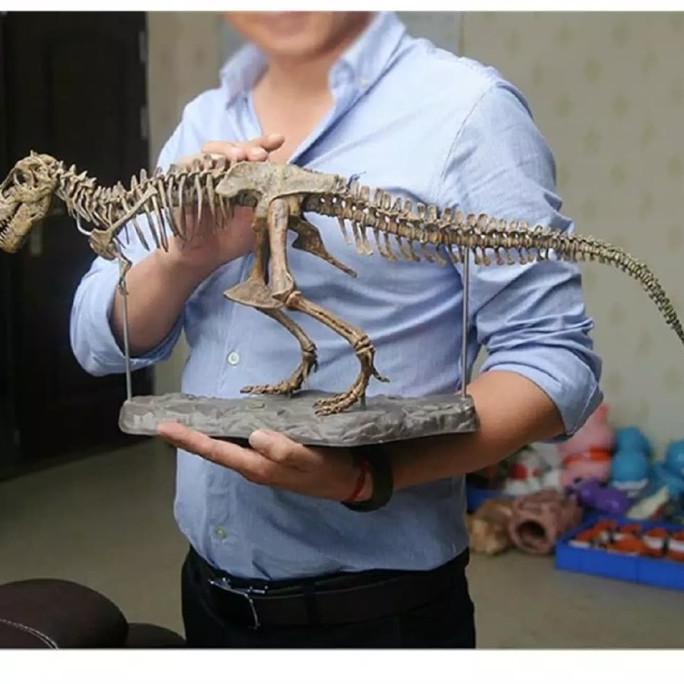 Jual Actionfigure statue dinosaurus tyrannosaurus trex skeleton sale