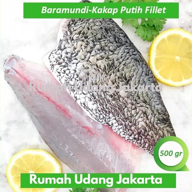 Jual Ikan Barramundi Kakap Putih Fillet Premium Kemasan Vacum 500 Gr