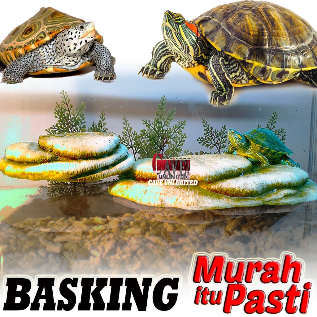 Jual TR001 TURTLE BANK TEMPAT JEMUR REPTILE KURA KURA AIR TANGKRINGAN