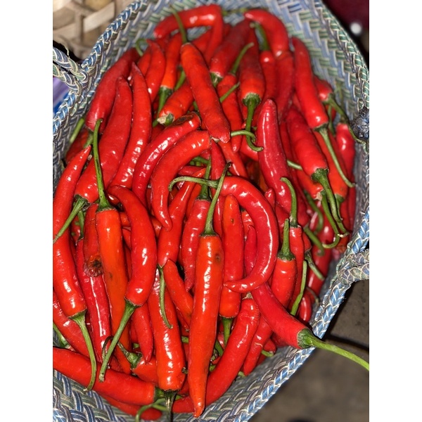 Jual Cabe Merah besar atau hot chilli 1 kg Murah | Shopee Indonesia