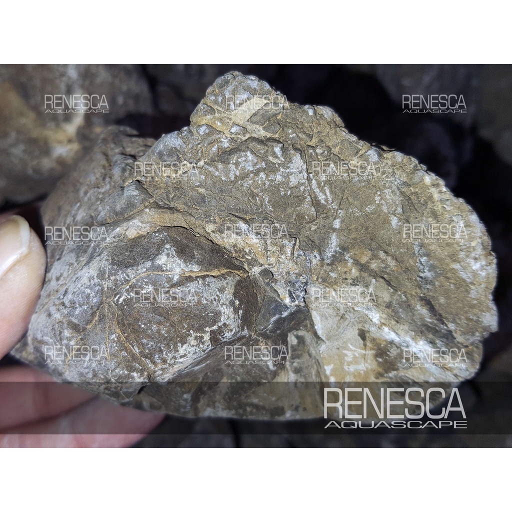 Jual Batu Turly Turli Stone 1 Kg - Batu Hias Hiasan Aquascape Aquarium ...