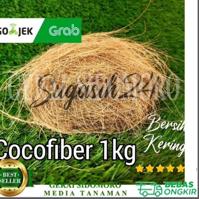 Jual Paket Ekslusif D D P Serabut Sabut Kelapa Kg Bersih Kering Media Cocofiber Shopee Indonesia