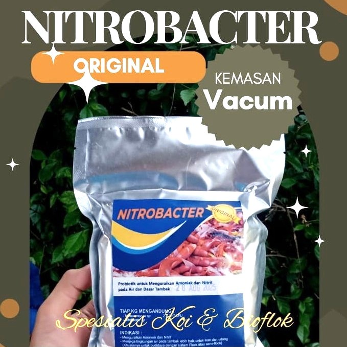 Jual Nitrobac Nitrobacter Nitrosomonas ORIGINAL 1 kg | Shopee Indonesia