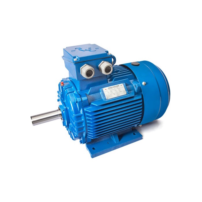 Jual Western Electric Motor type 1A112M2 Shopee Indonesia