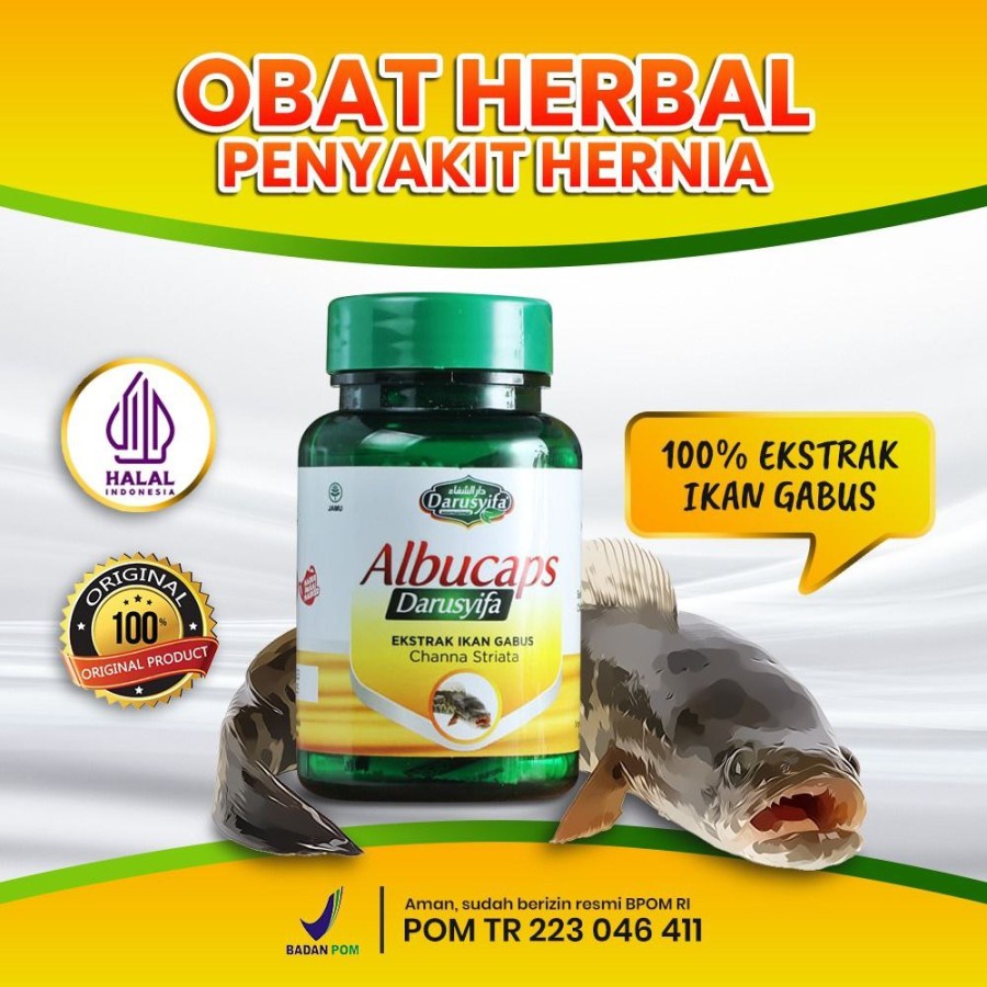 Jual Albucaps Darusyifa Herbal Asli Original Isi 60 Kapsul Ekstrak