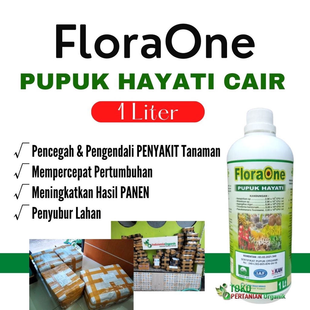 Jual Pupuk Hayati Cair Floraone Pupuk Tricoderma Harzianum Tricotech Untuk Tanaman Tomat 6569