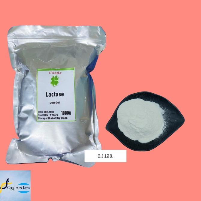 Jual Enzim Laktase Powder 60 gram Food Grade/ Lactase Enzyme Powder 60 gram Shopee Indonesia