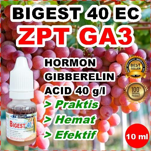 Jual Original Ga Bigest Ec Ml Hormon Giberelin Acid Zpt Biggest