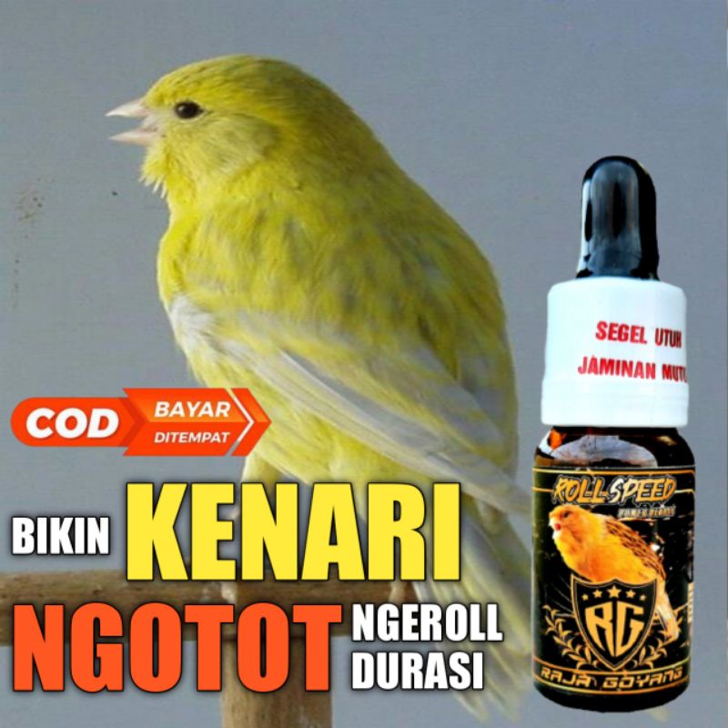 Jual Roll Speed Raja Goyang Suplemen Vitamin Herbal Burung Kenari Gacor ...