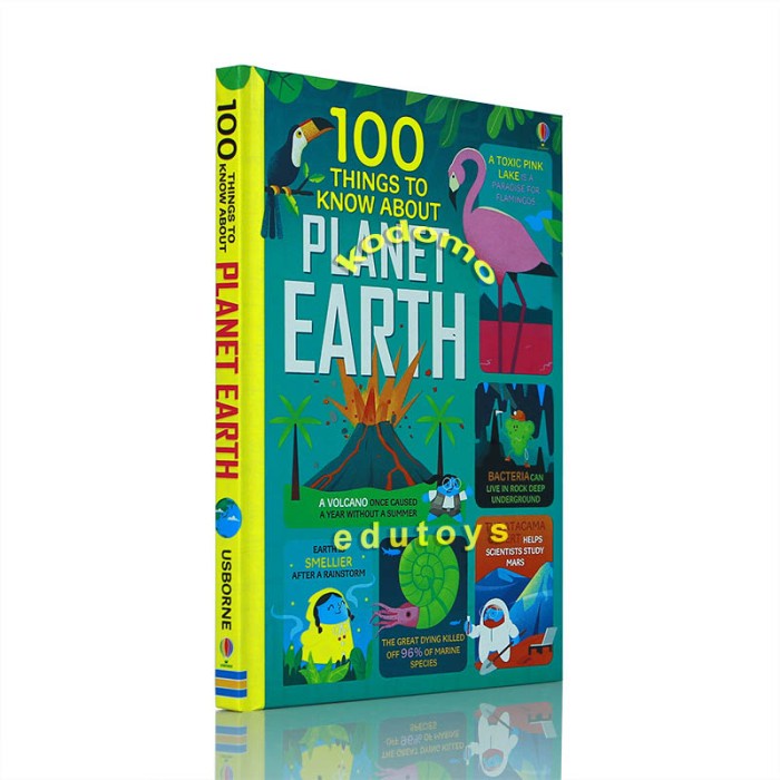 Jual Must Have!! Usborne 100 Things To Know About Planet Earth (Hard ...