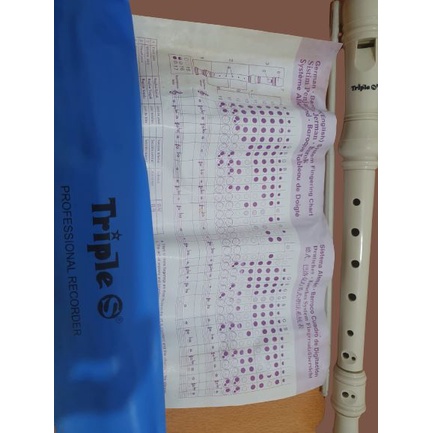 Jual suling/ alat tiup/ seruling profesional recorder merk TRIPLE S ...