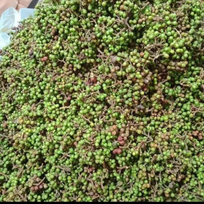 Jual Andaliman Segar Raya Simalungun 250 gr/TIDAK COD | Shopee Indonesia