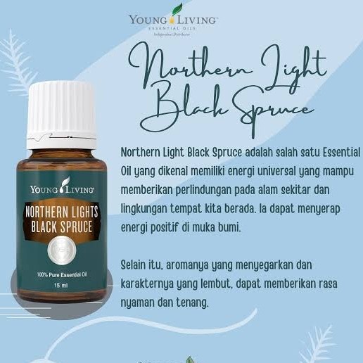 Jual Northern Lights Black Spruce Essential Oil Young Living