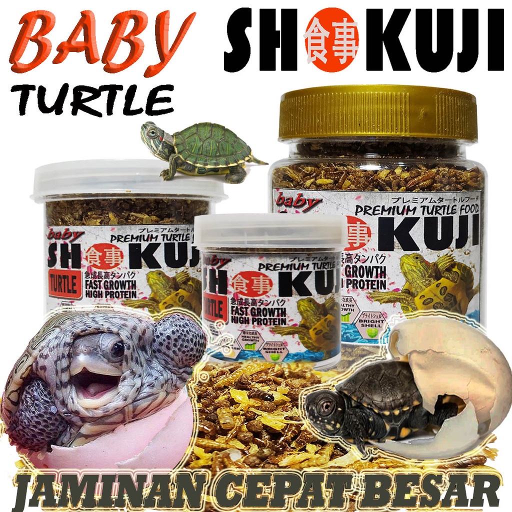 Jual SHOKUJI TURTLE BABY FOOD MAKANAN KURA AIR BAYI BRAZIL RES ALIGATOR ...
