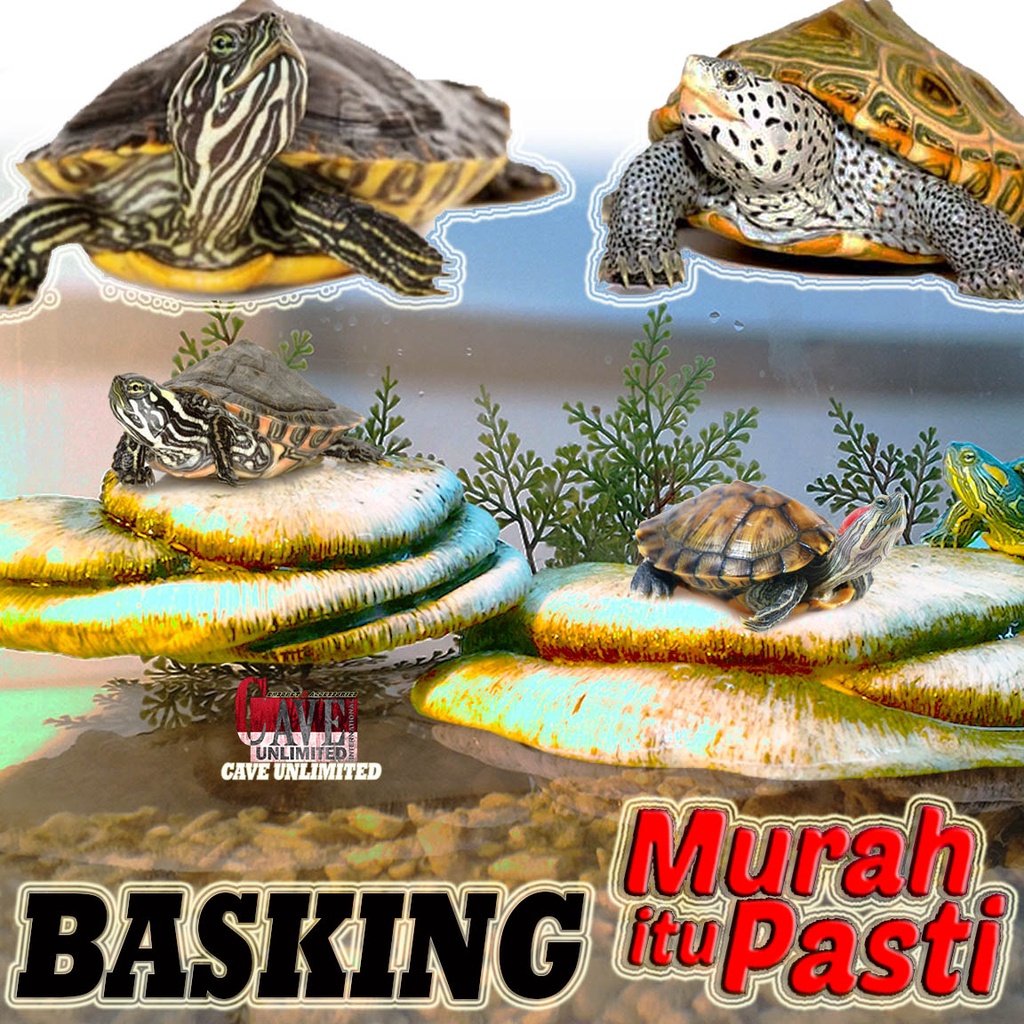 Jual TR001A TANGKRINGAN REPTILE BASKING ISLAND TURTLE BANK SPOT RAMP ...