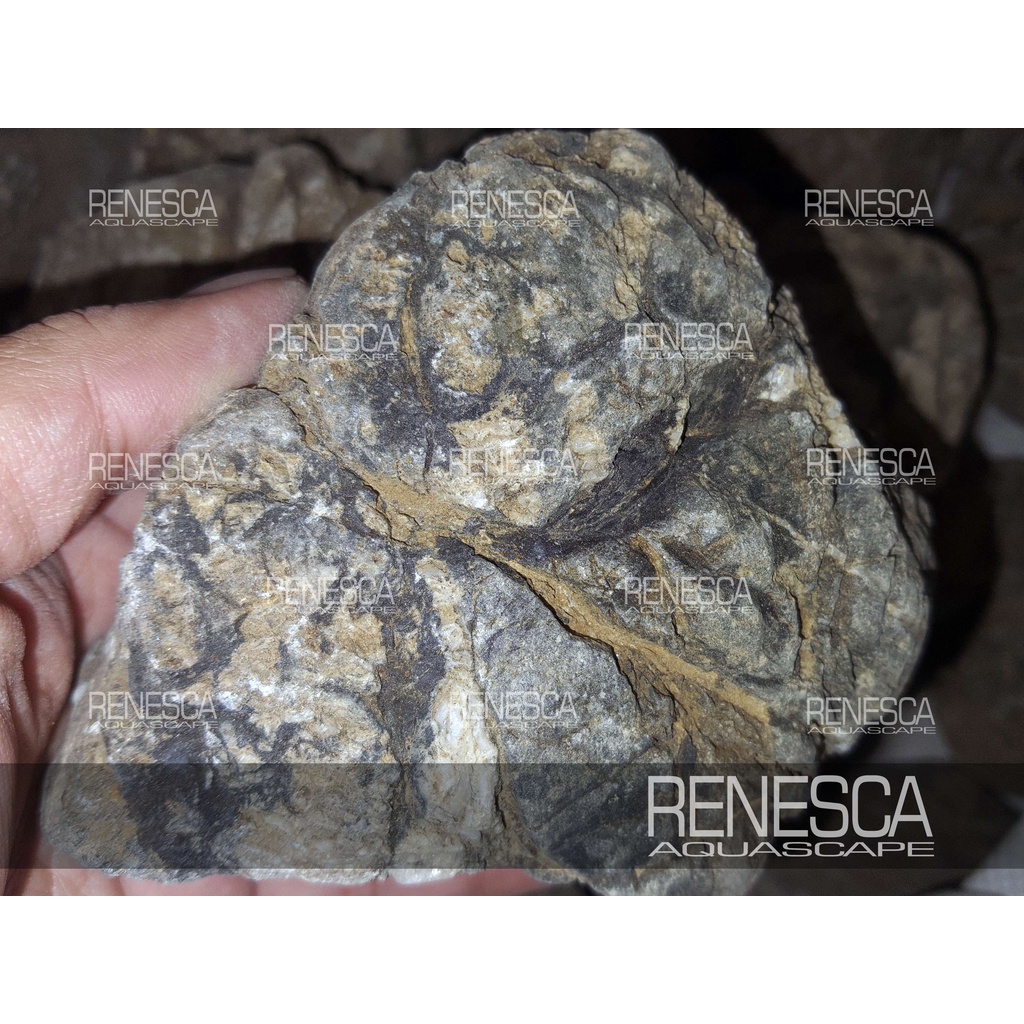 Jual Batu Turly Turli Stone 1 Kg - Batu Hias Hiasan Aquascape Aquarium ...