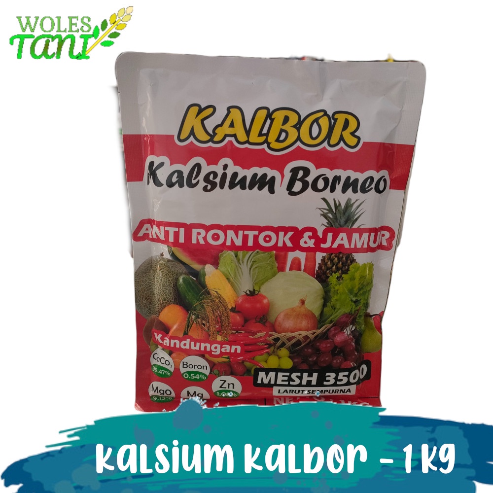 Jual Pupuk Kalsium Boron Kalbor 1 Kg Pencegah Rontok Bunga Dan Buah ...